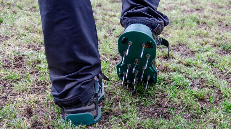 Person aerating lawn with aerator shoes.