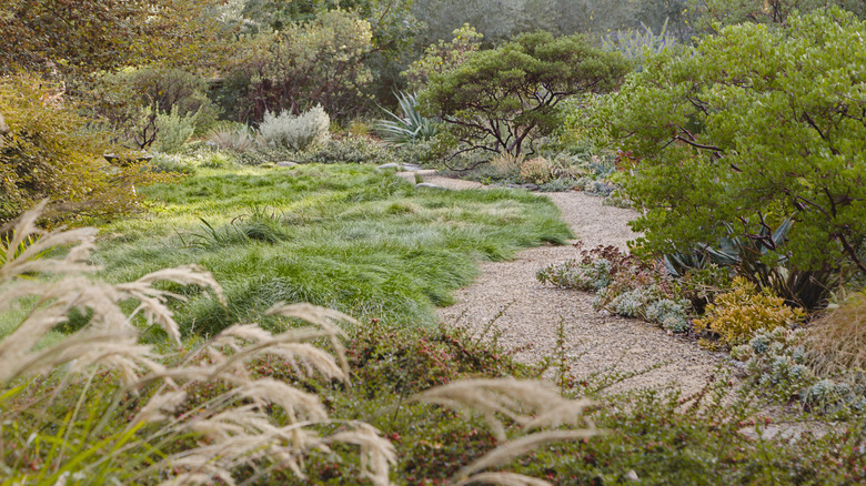 gravel garden pathway