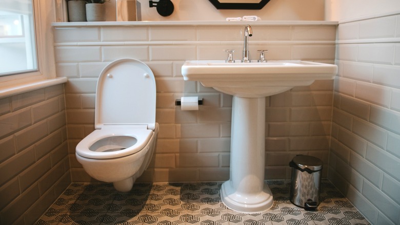 A bathroom sink and toilet