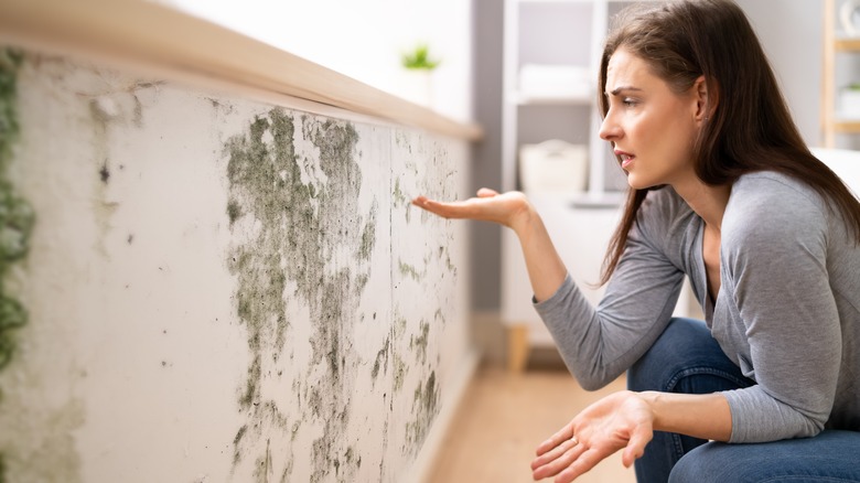 woman looking at moldy wall