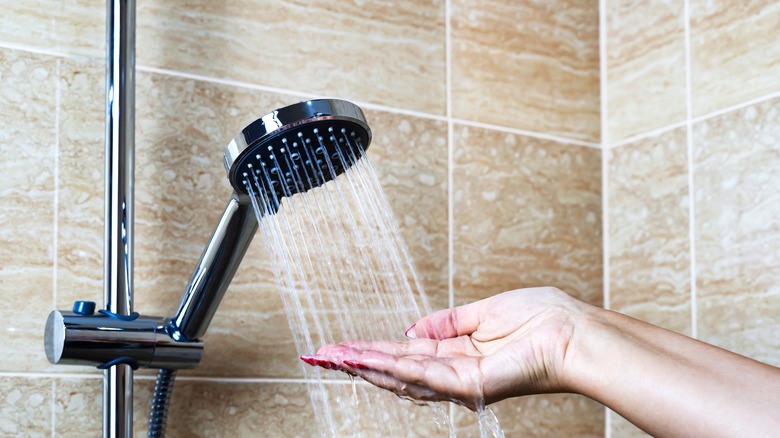 palm touching shower water