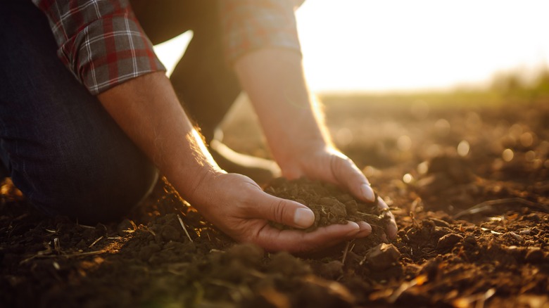 person touching soil