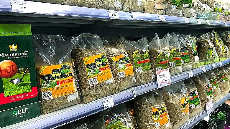 Grass seed on store shelf
