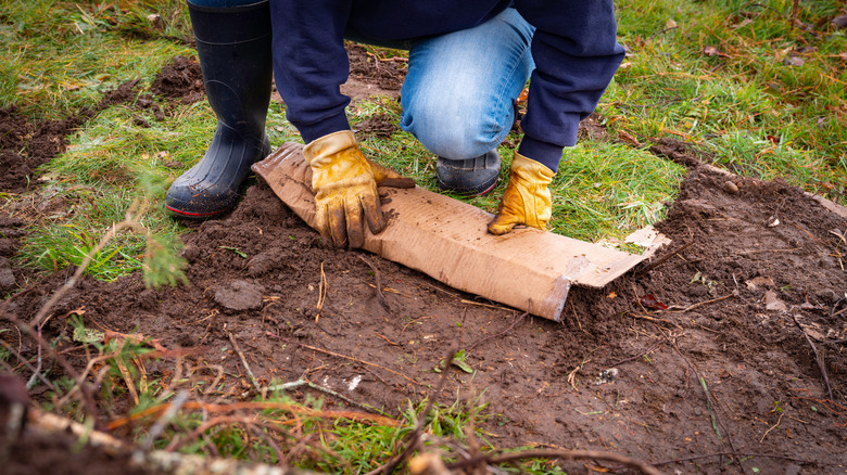 preparing ground for garden bed