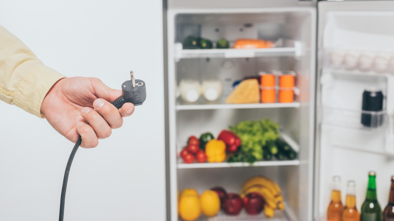 Person holding a plug in front of open refrigerator