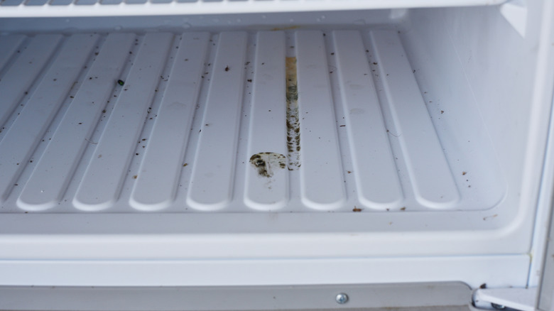 Mold and mildew in freezer