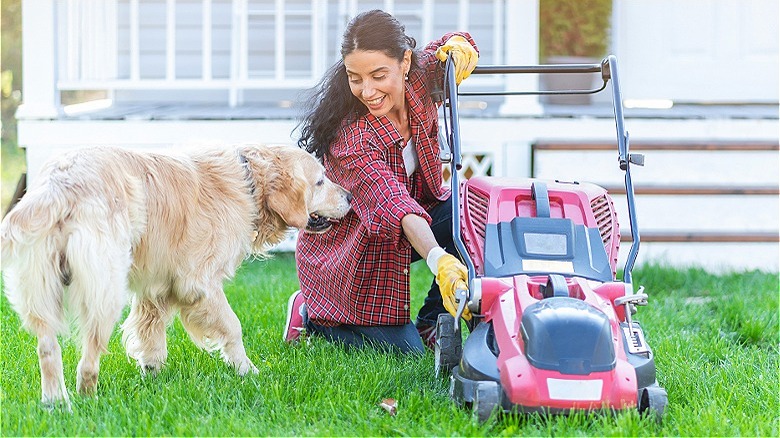 Cutting grass with dog