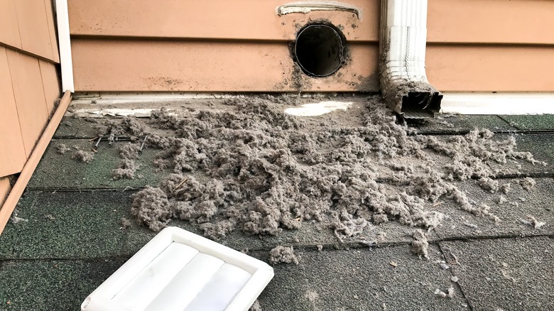 Flushed dryer vent expelled lint