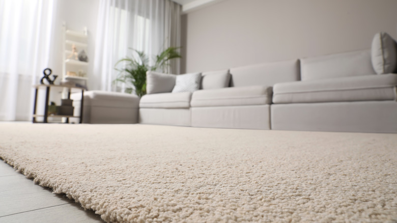 white rug in living room