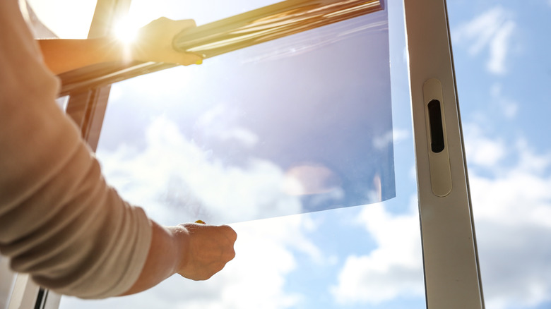 person applying window privacy film