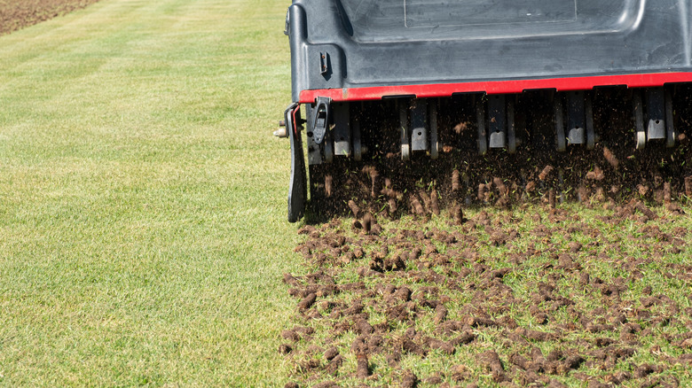 lawn aeration with a machine