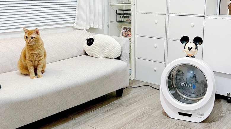 portable clothes dryer in home