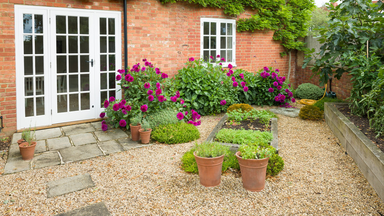 Gravel patio with potted plants and rose bushes