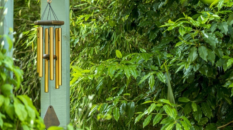 Wind chimes hanging near trees