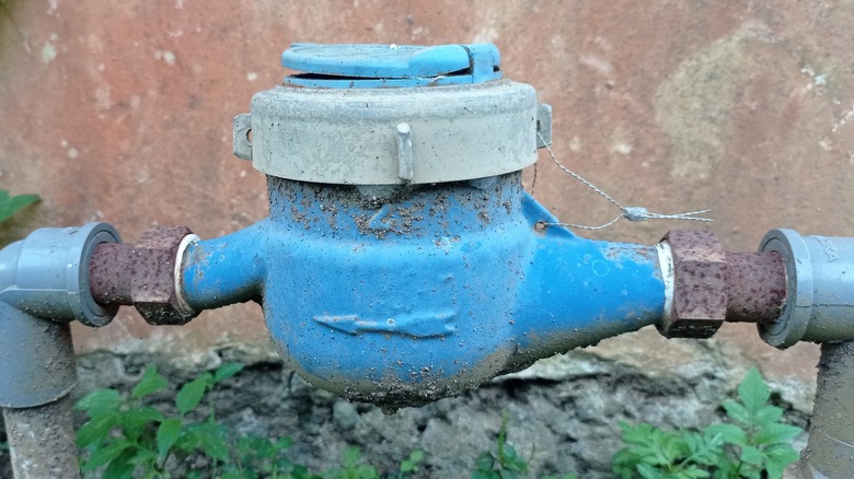 backflow preventer installed on a water system