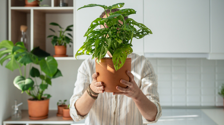 person holding houseplant in home