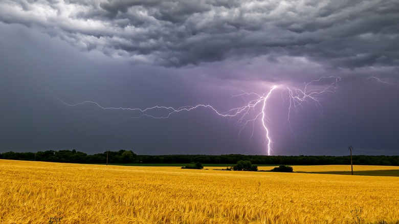 lightning bolt striking the ground