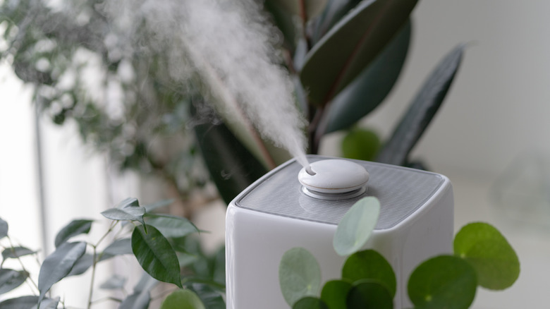 Humidifier in plant room 