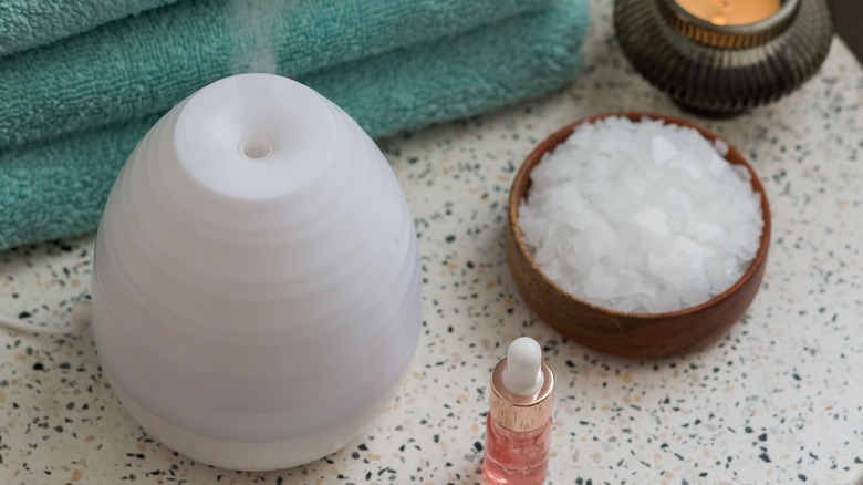 Humidifier and salt dish 