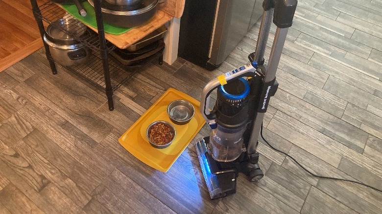 Vacuum near dog food