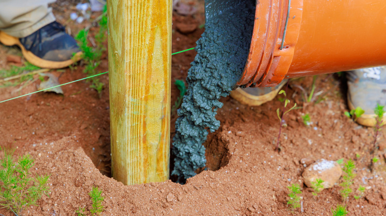 Man installing wooden fence post and pouring concrete