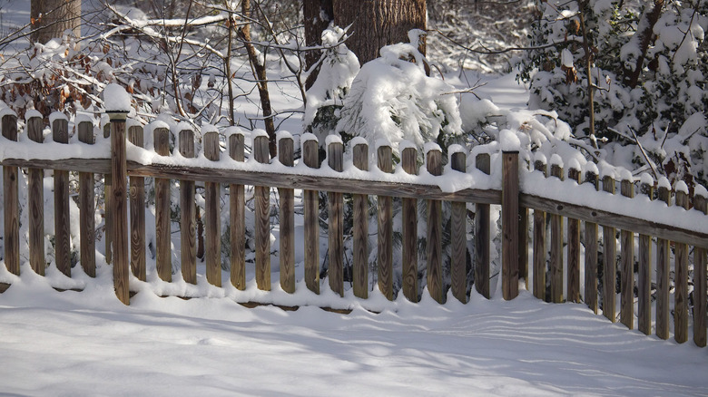 Snow covered backyard fence