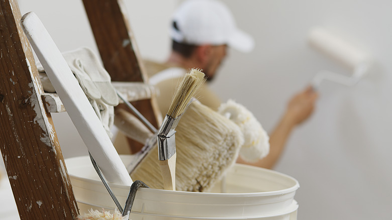 Paintbrushes person painting ladder