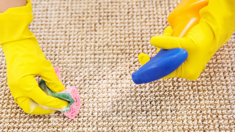 hands removing stain from rug