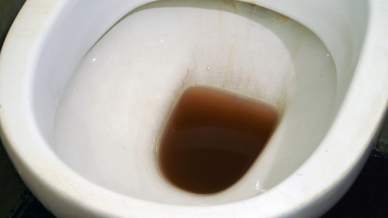 Toilet with brown water in bowl