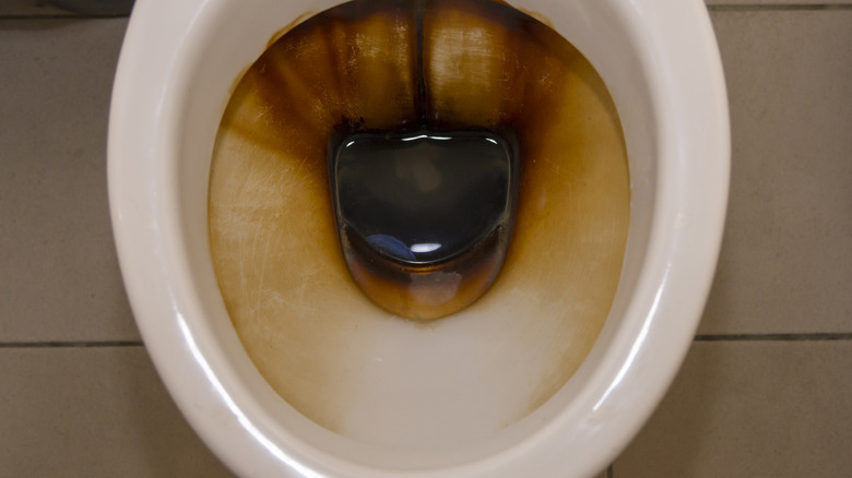 iron-tannin deposits in toilet