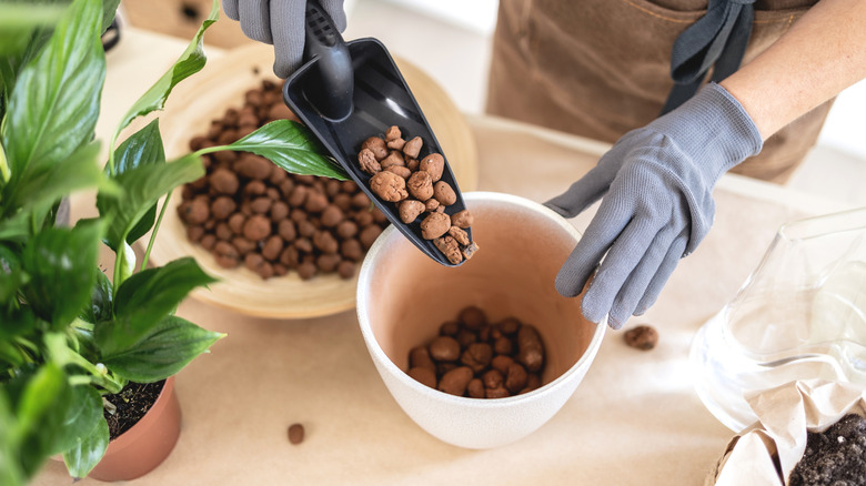 Pouring rocks into the bottom of a plant pot