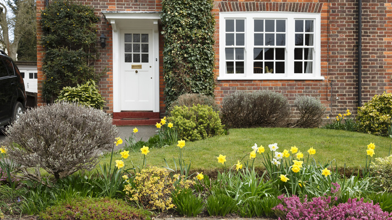 House in springtime