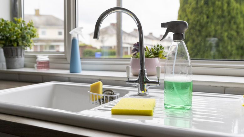 cleaning products in kitchen