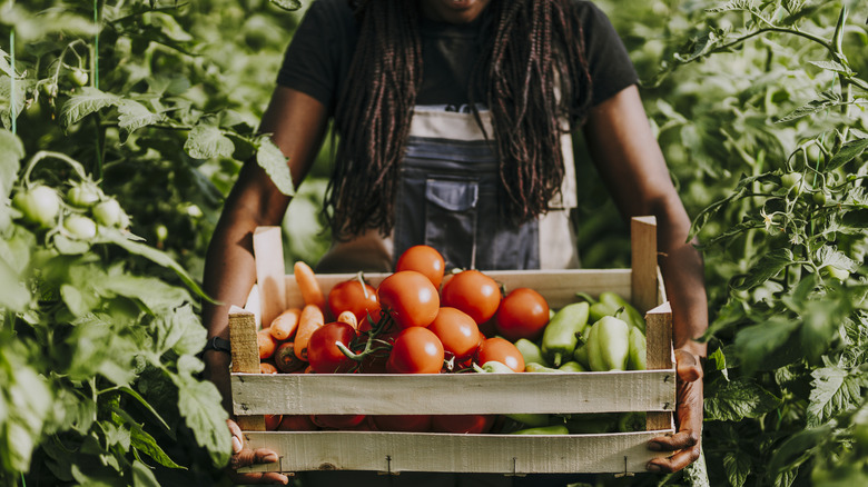 woman holding a crate full of carrots, tomatoes, and, green pepper