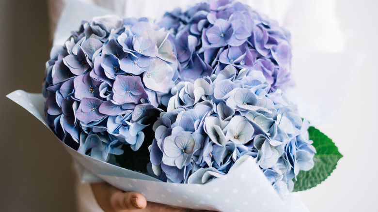 blue hydrangea bouquet