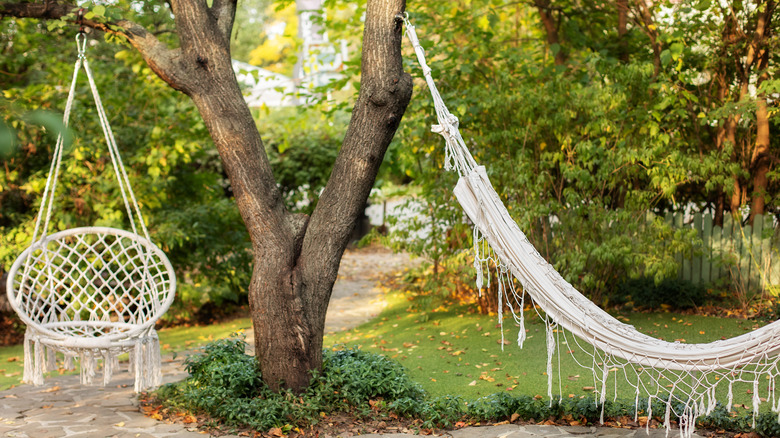 swings hanging from tree