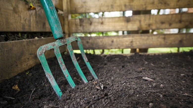 Turning the compost with pitchfork 