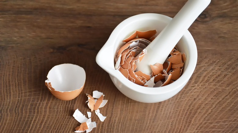 eggshells with mortar and pestle