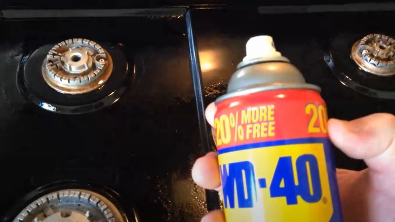 person holding can of WD-40