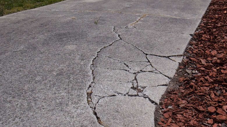 Concrete driveway with multiple cracks 