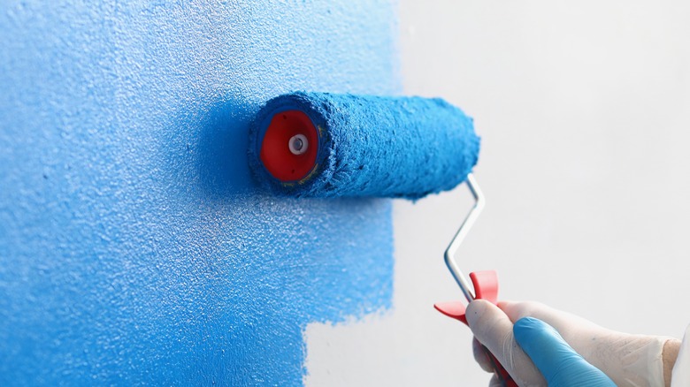 Person painting wall blue