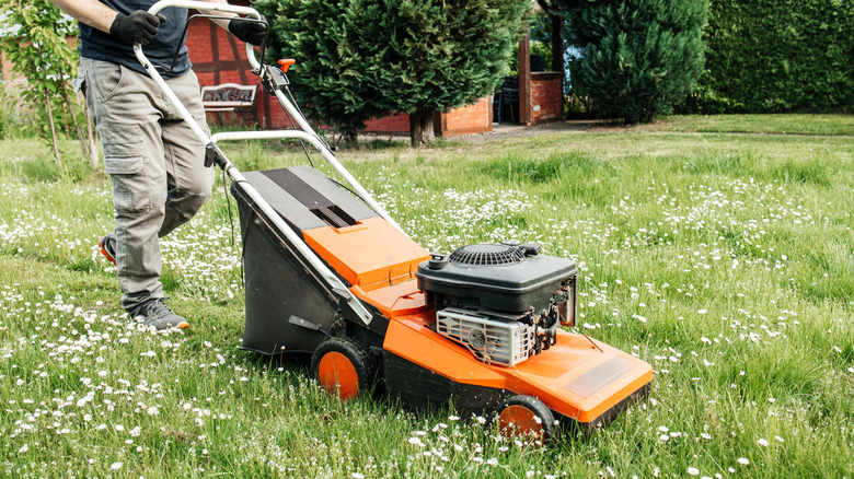 Person mowing lawn with an electric lawn mower