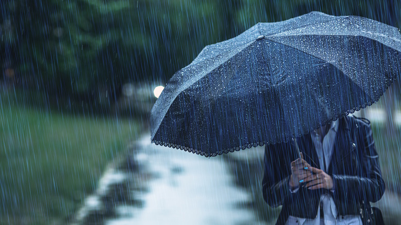 person holding umbrella in rain