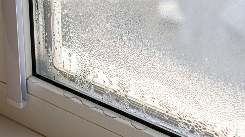 Condensation collect on window