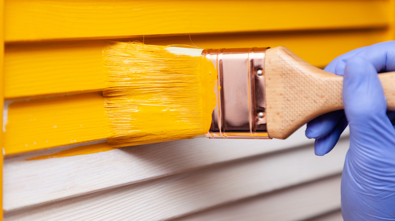 person painting vinyl siding