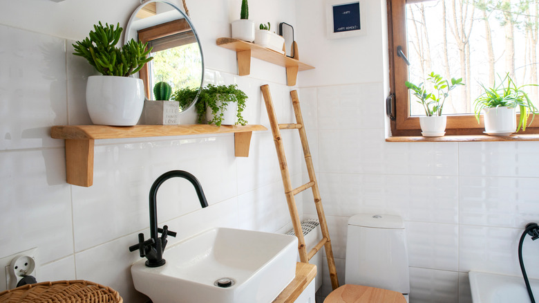 bathroom with green plants on floating wooden shelves