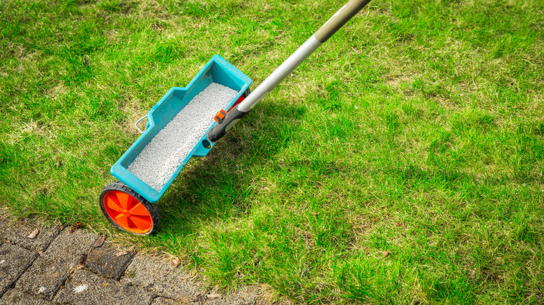 person using fertilizer spreader