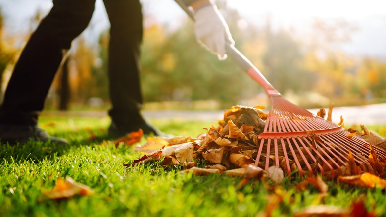 girl cleaning yard