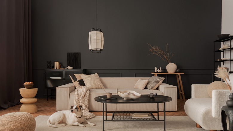 Living room with black walls and light furniture