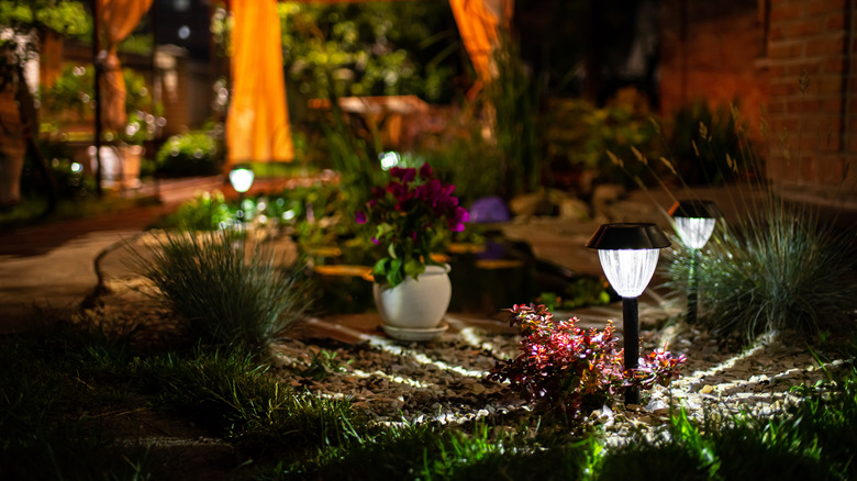 solar lamps illuminating nighttime garden